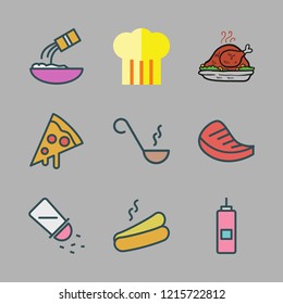 cuisine icon set. vector set about ladle, salt, hot dog and meat icons set.