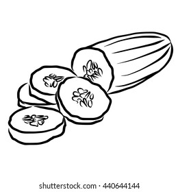 Cuke Sketch Vegetables Outline Vector Artwork, Hand drawn image