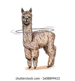 Cule alpaca with hula hoop on the neck, full color sketch, hand drawn vector illustration