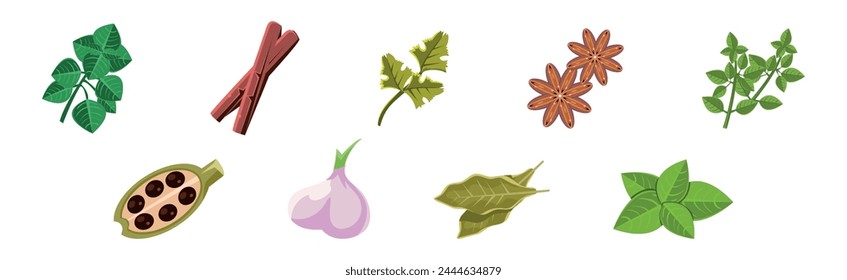 Culinary Aromatic Herbs and Condiment Flat Vector Set