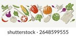 Culinary Background. Banner with fresh vegetables and cooking utensils. Sketch style poster with ingredients for making salad. Design for cafe or restaurant menu. Hand drawn vector illustration