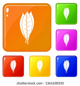 Culinary bay leaves icons set collection vector 6 color isolated on white background
