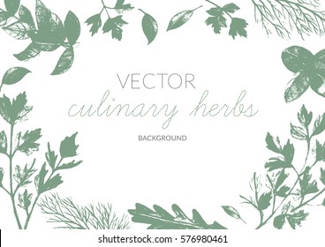 Culinary herbs background. Perfect for restaurant menu, organic shop, cards, posters. Delicate greens
