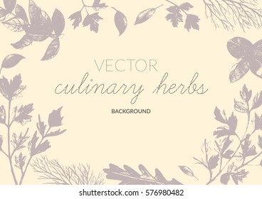 Culinary herbs background. Perfect for restaurant menu, organic shop, cards, posters. Purple on warm background.