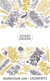 Culinary herbs banner template. Hand drawn vintage botanical illustration. Engraved style. Vintage food background.