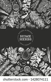 Culinary herbs banner template. Hand drawn botanical illustration on chalk board. Engraved style. Vintage food background.