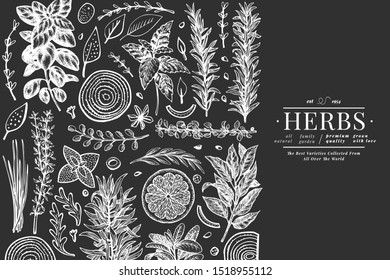 Culinary herbs banner template. Hand drawn vintage botanical illustration on chalk board. Engraved style. Vintage food background.