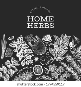Culinary herbs banner template. Hand drawn vintage botanical illustration on chalk board. Engraved style. Vintage food background.