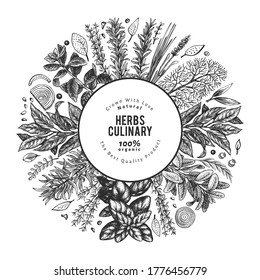 Culinary herbs banner template. Hand drawn vintage botanical illustration. Engraved style. Vintage food background.