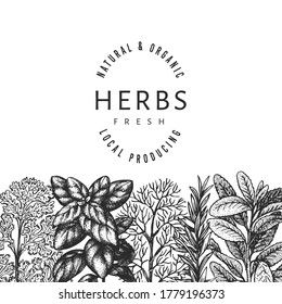 Plantilla de pancarta de hierbas culinarias. Ilustración botánica vintage dibujada a mano. Estilo grabado. Fondo de comida de época.