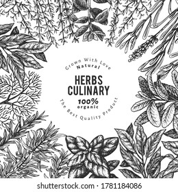 Culinary herbs banner template. Hand drawn vintage botanical illustration. Engraved style. Vintage food background.