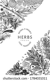 Culinary herbs banner template. Hand drawn vintage botanical illustration. Engraved style. Vintage food background.