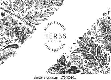 Plantilla de pancarta de hierbas culinarias. Ilustración botánica vintage dibujada a mano. Estilo grabado. Fondo de comida de época.