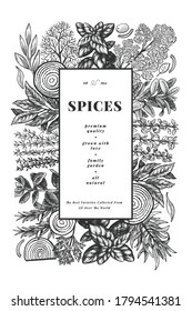Culinary herbs banner template. Hand drawn vintage botanical illustration. Engraved style. Vintage food background.