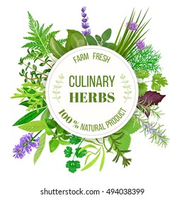 Culinary herbs big set with round emblem. Vector illustration. Design for cosmetics, restaurant, market, menu, market, health care products, spa salon, ready logo, icon, banner, web, tag, template,