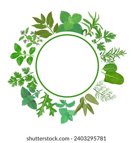 Culinary herbs in circle. Fresh green herb leaves with round emblem. Popular culinary herbs leaf set. Design concept for menu, restaurant, market. Vector illustration isolated on white background.