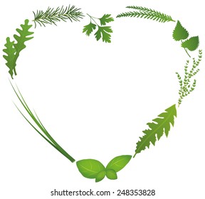 Culinary herbs for salads and cooking shape a heart. Isolated vector illustration on white background.