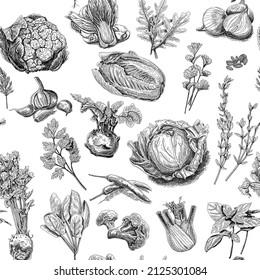 Culinary herbs seamless pattern. Sketchy vector hand-drawn background.