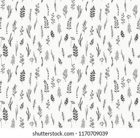 Collection Hand Drawn Vector Florals Branches Stock Vector (Royalty ...