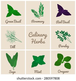 Culinary herbs set. Green, red basil, rosemary, dill, parsley, sage, mint, oregano.