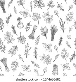 Culinary herbs and spice seamless pattern. Engraved seasoning. Vector illustration. Bay leaf, lemongrass, fennel, dill, cilantro and chives. Thyme, lemon balm, tarragon etc Seasoning design