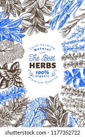 Culinary herbs and spices banner template. Vector background for design menu, packaging, recipes, label, farm market products. Hand drawn retro botanical illustration.