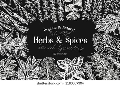 Culinary herbs and spices banner template. Vector background for design menu, packaging, recipes, label, farm market products. Hand drawn vintage botanical illustration on chalk board.