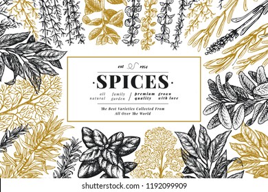 Culinary herbs and spices banner template. Vector background for design menu, packaging, recipes, label, farm market products. Hand drawn retro botanical illustration.