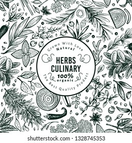 Culinary herbs and spices banner template. Vector background for design menu, packaging, recipes, label, farm market products. Hand drawn retro botanical illustration.