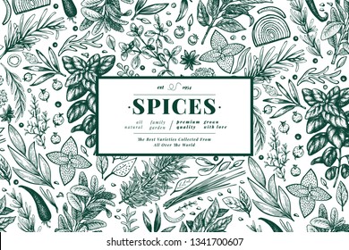 Culinary herbs and spices banner template. Vector background for design menu, packaging, recipes, label, farm market products. Hand drawn retro botanical illustration.