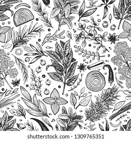 Culinary herbs and spices seamless pattern. Vector background for design menu, packaging, recipes, label, farm market products. Hand drawn retro botanical illustration.