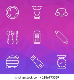 Culinary icons line style set with dirty plate, ice cream glass, zester and other slicer elements. Isolated vector illustration culinary icons.