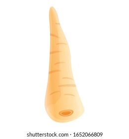 Culinary parsnip icon. Cartoon of culinary parsnip vector icon for web design isolated on white background