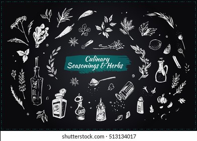 Culinary seasonings & herbs. Set sketch icons. isolated vector. chalk on blackboard. elements for design restaurant menus and decorating cookbooks & recipes