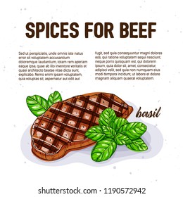 Culinary spice for beef, basil, culinary herb, spices isolated on white background, card template, for book, cover, package, label, banner. Hand drawn illustration. Vector, eps 10