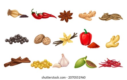 Culinary spices and condiments. Peppercorns, bay leaf, cardamom, chili, cumin, garlic, ginger and mustard. Oregano, thyme, turmeric, saffron threads, star anice, marjoram, nutmeg, anice and poppy