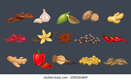 Culinary spices and condiments. Peppercorns, bay leaf, cardamom, chili, cumin, garlic, ginger and mustard. Oregano, thyme, turmeric, saffron threads, star anice, marjoram, nutmeg, anice and poppy