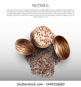 Culinary spices. Nutmeg. Abstract vector illustration of ground nutmeg on a light background. A blank for creativity.