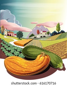 cultivated agricultural landscape, with ripe pumpkins.