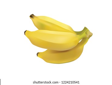 cultivated banana fruit