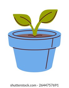 Vaso de plântula de planta verde cultivada