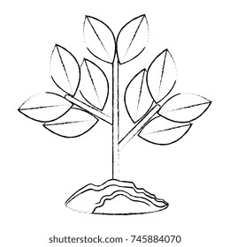 cultivated plant isolated icon