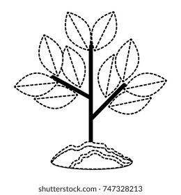cultivated plant isolated icon
