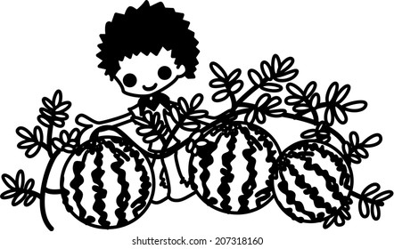 Cultivating watermelons