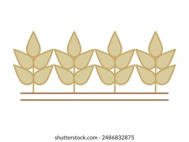 Cultivation of cereals on dry land