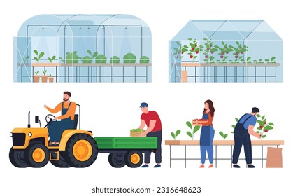 Cultivation of products in greenhouse conditions. Ecological agriculture. Useful fresh products. Vector illustration