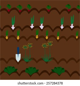 Cultivation of vegetables vector background