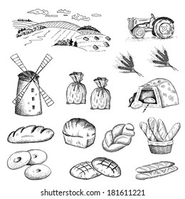cultivation of wheat and bread baking. set