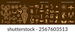 Cucuteni–Trypillia culture symbols vector set. Egyptian hieroglyphs isolated collection. Kokopelli fertility deity, hand with a spiral symbol on the palm, eagle or raven bird, lizard, sun and cacti. 