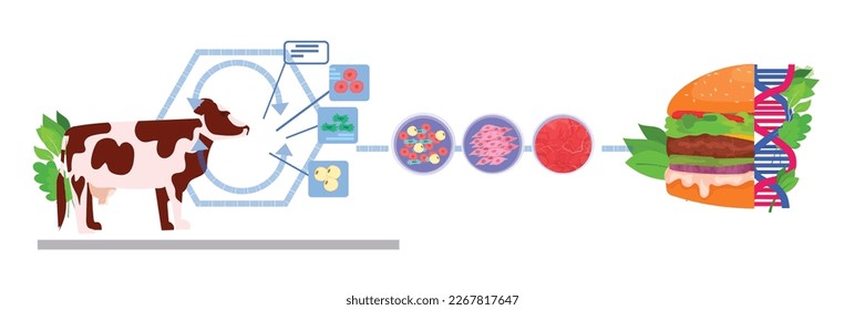 hamburguesa de carne cultivada a partir de células animales concepto de producción de carne cultivada en laboratorio artificial horizontal